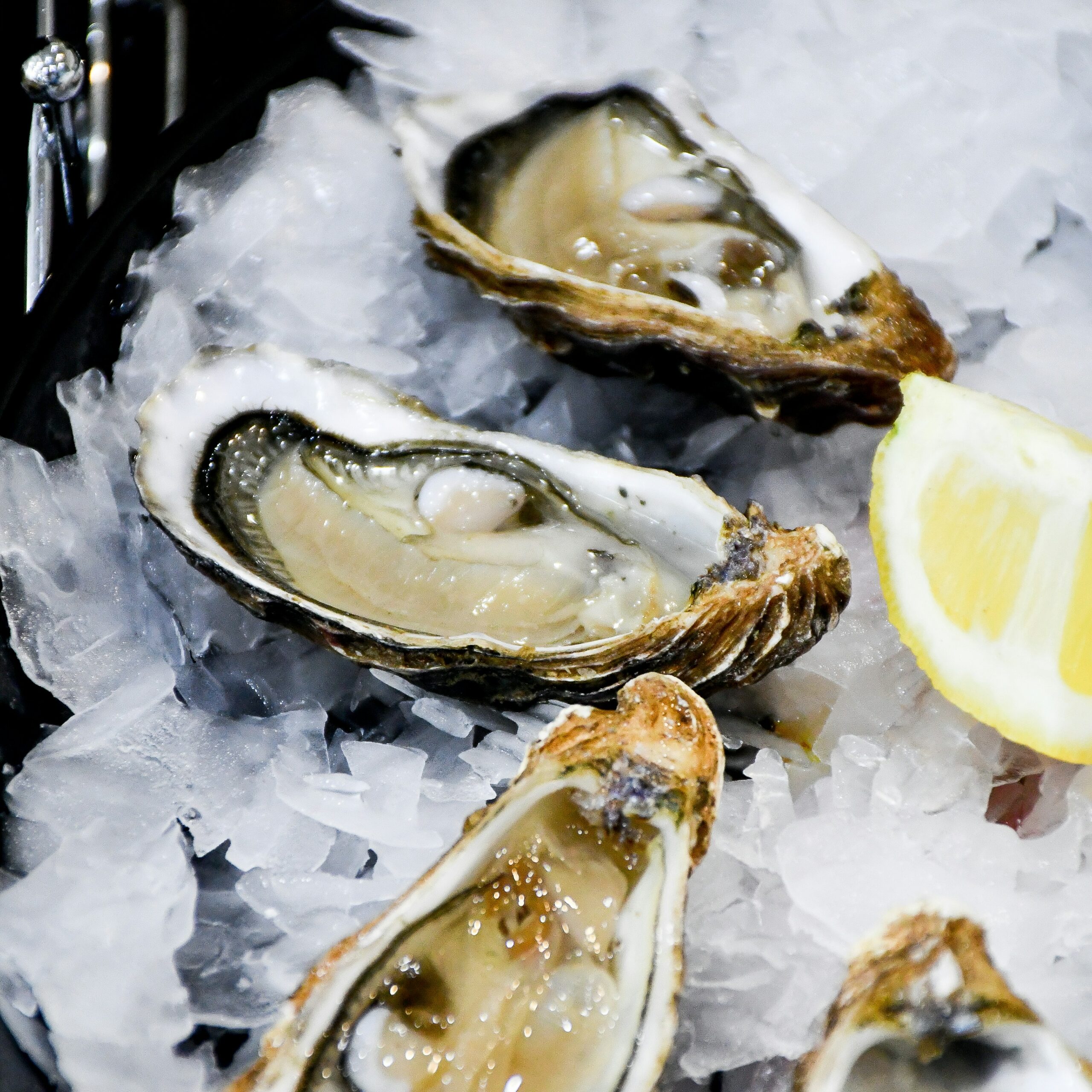 Freshly shucked Charente-Maritime oysters on ice, served with lemon wedges and a glass of crisp white wine.