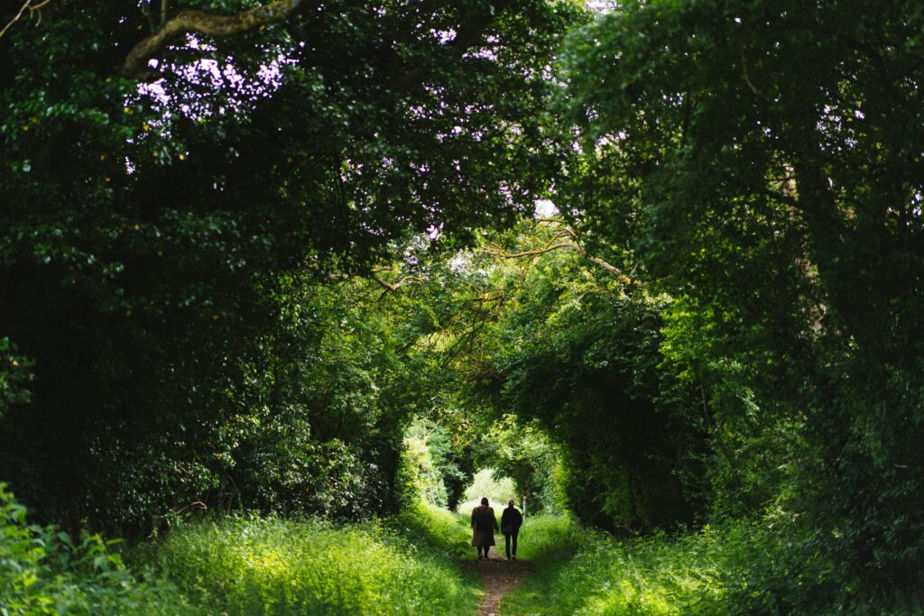 Nature walk at Chateau Charente, blending wellness activities with art retreats in Southwest France.